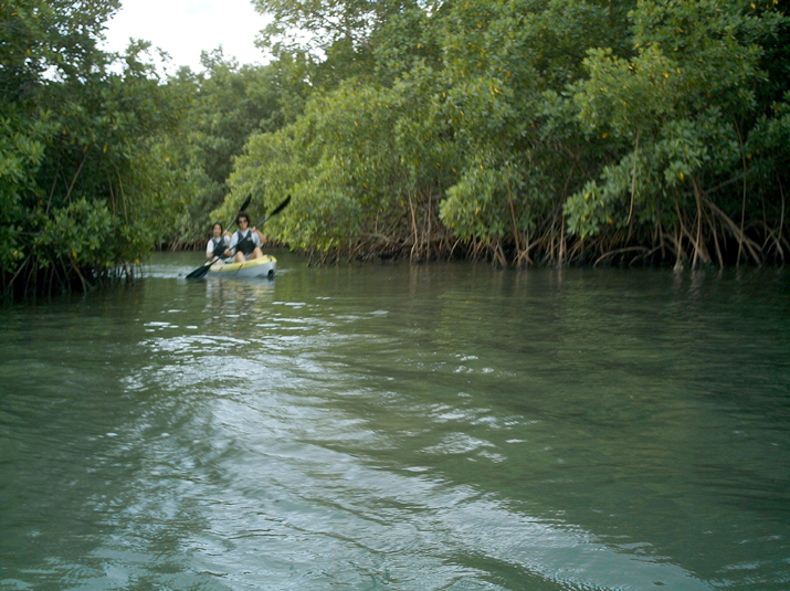 27a - Canoë 001.jpg